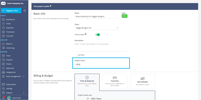 Cusotm fields in project
