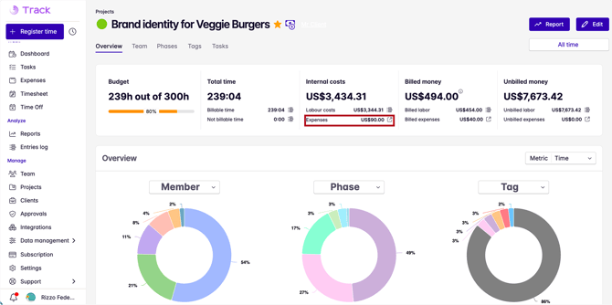 expenses in projects
