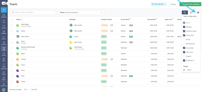 timeneye-team section options